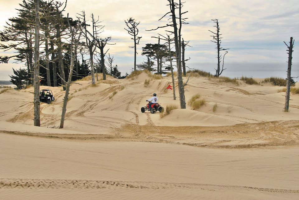 Oregon Dunes: A Ride With A View One of America's unique riding ...