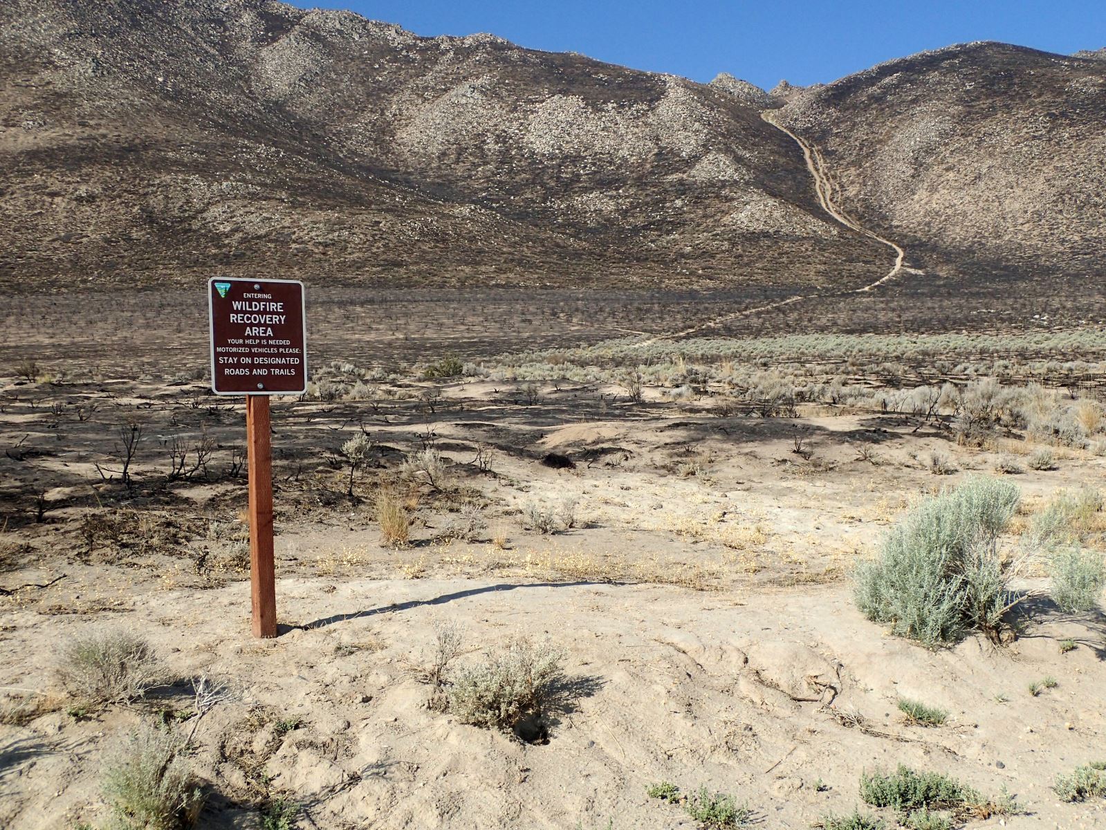 Fort Sage OHV Area Reopens After Fire; Visitors Urged To Stay On Trails