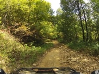 Bearwallow Trail System on a beautiful fall day in October, 2012