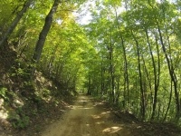 Bearwallow Trail System on a beautiful fall day in October, 2012