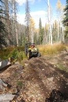 Riding in Routt County