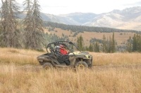 Riding in Routt County