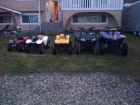 these are all my atv's they all run great