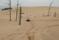 TIM MITCHELL, OREGON DUNES, OREGON